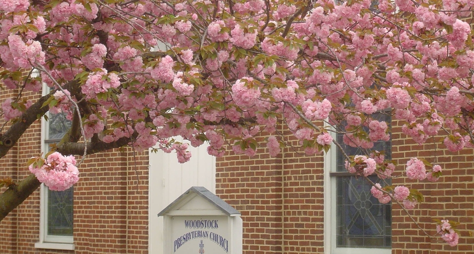 Woodstock Presbyterian Church